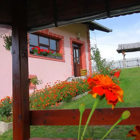 Domacinstvo Spasenic شقة Ribnica (Cajetina)