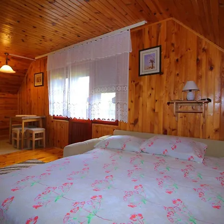 Domacinstvo Spasenic *