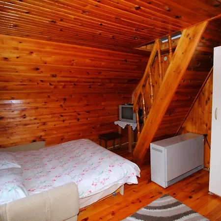 Domacinstvo Spasenic شقة