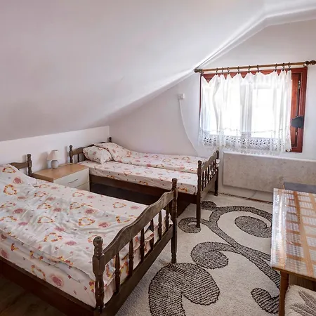 Domacinstvo Spasenic