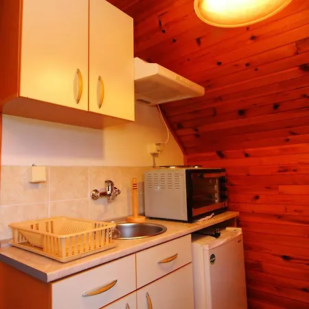 Domacinstvo Spasenic