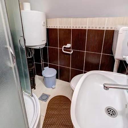 Domacinstvo Spasenic *