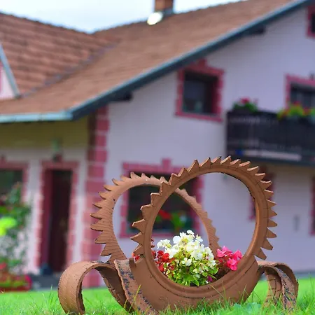 Domacinstvo Spasenic شقة *