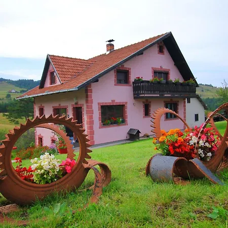 Domacinstvo Spasenic