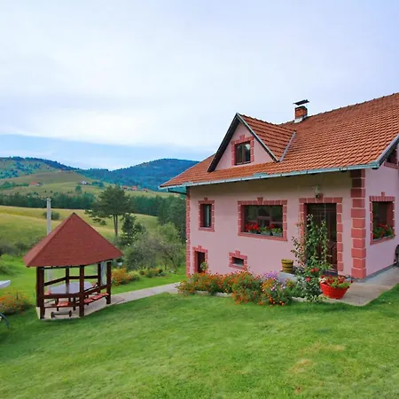 Domacinstvo Spasenic *